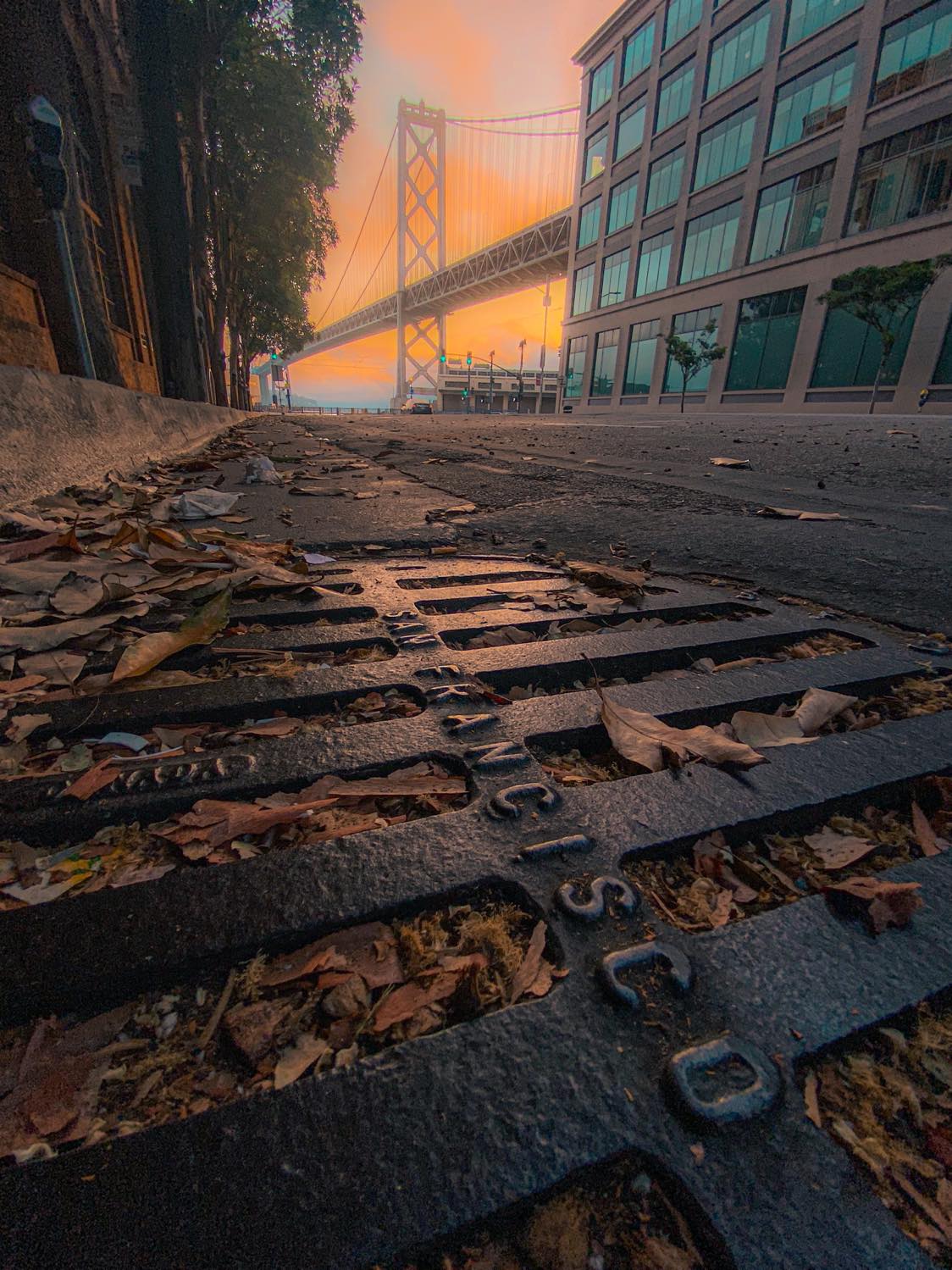 SF Bay Bridge - Focus Stacking